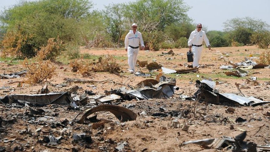 Le site du crash, au Mali, d'un avion d'Air Algerie, le 29 juillet 2014
