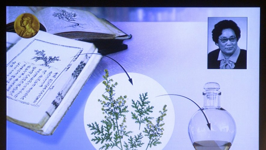 Une photo de la Chinoise Youyou Tu, lauréate du prix Nobel de médecine, et une illustration sur ses travaux projetées sur un écran lors de la conférence de presse du Comité Nobel, le 5 octobre 2015 à Stockholm
