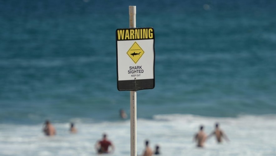 Un panneau prévenant de la présence de requins sur une plage de Newcastle, en Australie, le 17 janvier 2015