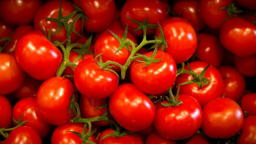 Seuls 20% des consomateurs jugent agréable ou très bon le goût des tomates vendues en grandes surfaces