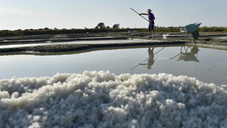 Récolte de la fleur de sel de Guérande, le 16 août 2016 dans les salines de Batz-sur-Mer (Loire-Atlantique)