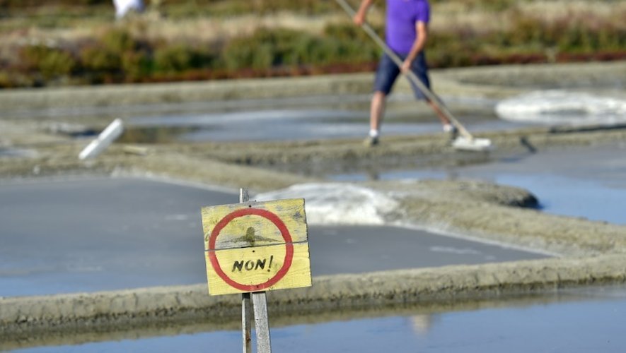 Un panneau d'opposition au projet d'aéroport de Notre-Dame des Landes est planté dans les salines de Batz-sur-Mer (Loire-Atlantique) où la récolte du sel de Guérande bat son plein, le 16 août 2016