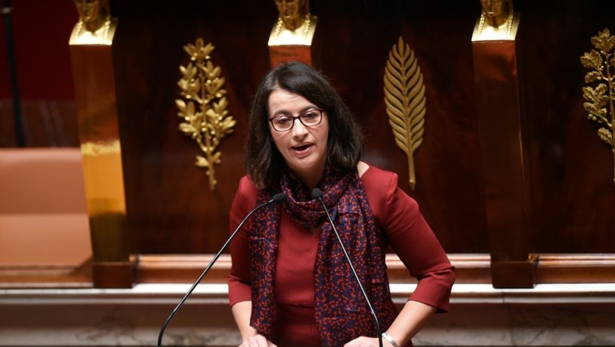 Cécile Duflot le 5 février 2016 à l'Assemblée nationale