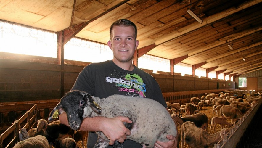 Clément Puech dans sa bergerie à Onet-l'Eglise. Hier, au sommet de l'élevage de Cournon, il a  terminé à la 3e place parmi 27 jeunes bergers issus de 16 nations.