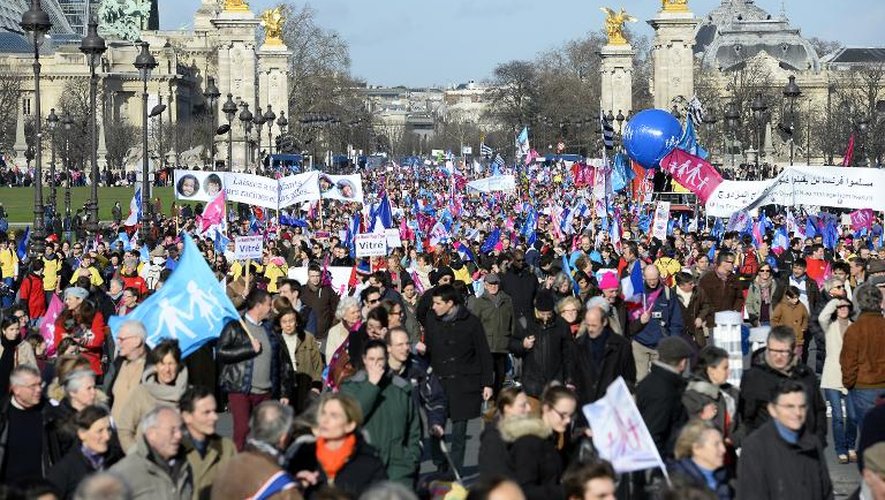 La Manif pour tous le 2 février 2014 à Paris
