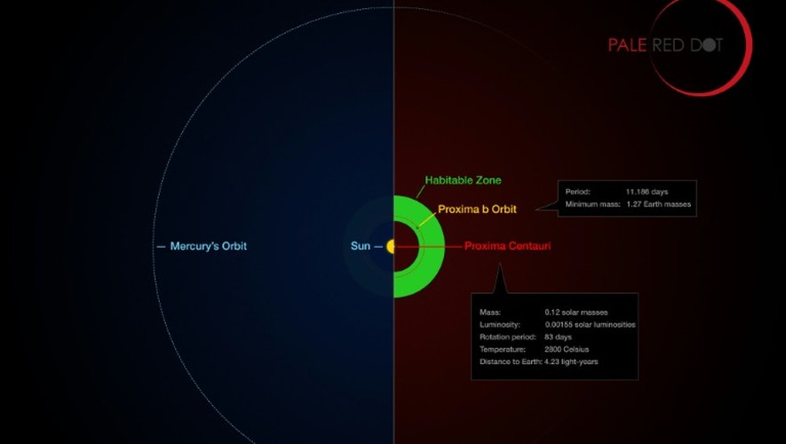 Infographie diffusée le 24 août 2016 comparant l'orbite de Proxima b autour de son étoile à celle de Mercure autour du soleil