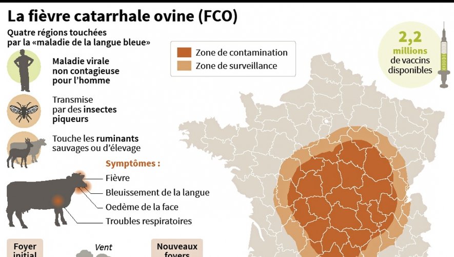 Sur cette infographie, la carte de France témoigne de l’accroissement des périmètres réglementés à ce jour. On y distingue l’Aveyron partagé entre zone de contamination (au nord) et zone de surveillance (au sud).