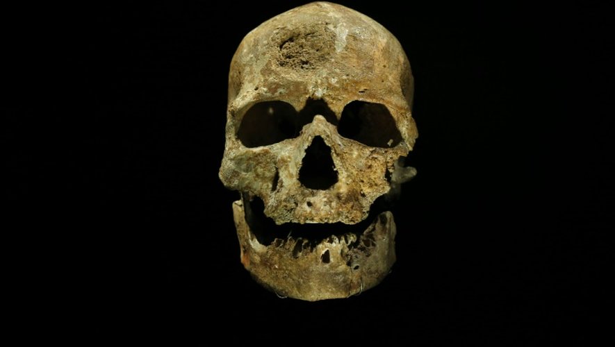 Le crâne de l'homme de Cro-Magnon, au musée de l'Homme de Paris, le 13 octobre 2015