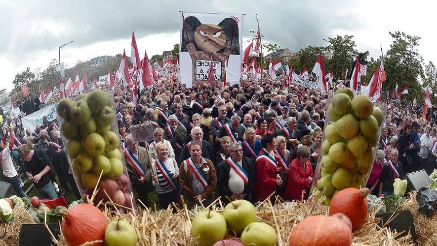 Des manifestants pour une Alsace autonome, le 11 octobre 2014 à Strasbourg