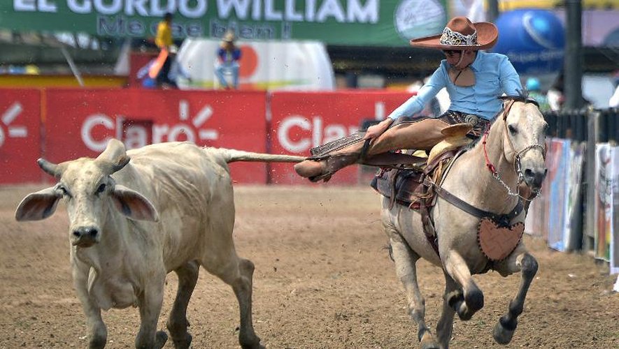 Un cow-boy mexicain lors du championnat du monde de coleo, un sport traditionnel, le 11 octobre 2014 à Villavicencio, en Colombie