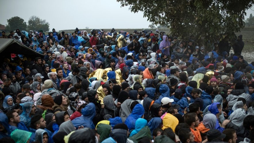 Des migrants attendent pour entrer sur le territoire de la Croatie, près du village serbe de Berkasovo, le 19 octobre 2015
