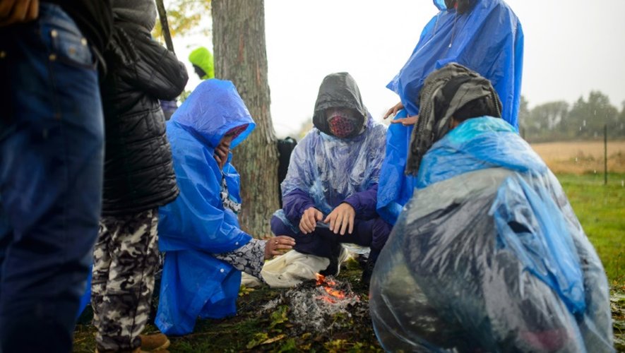 Les migrants tentent de se réchauffer à la frontière entre la Croatie et la Slovénie, le 19 octobre 2015, après avoir été empêchés durant la nuit d'entrer sur le territoire slovène