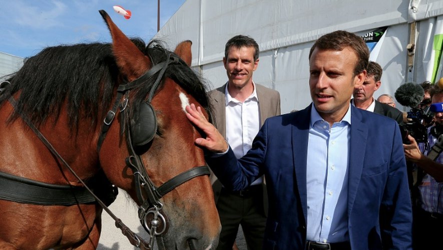 L'ex-ministre de l'Economie Emmanuel Macron (d), le 1er septembre 2016 à Châlons-en-Champagne