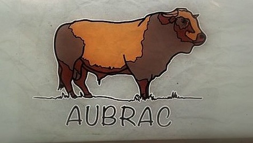 Le nouveau sticker "Taureau d'Aubrac" est désormais en vente, notamment dans le Nord-Aveyron.