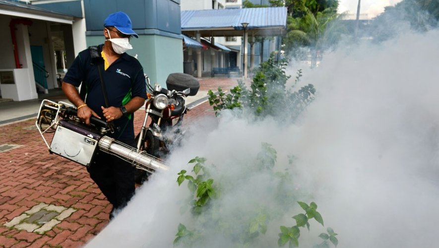 Des pesticides sont répandus dans une quartier résidentiel de Singapour le 1er septembre 2016