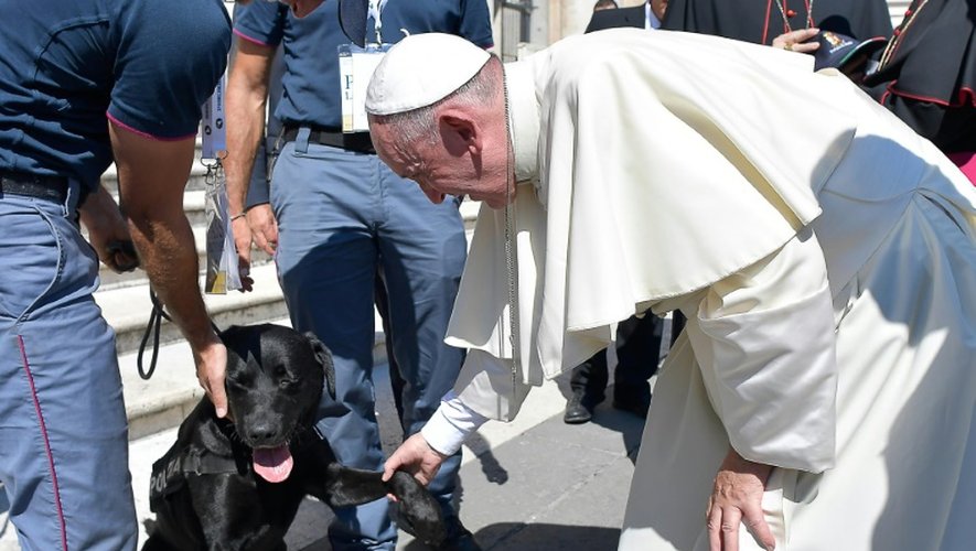 Le labrador secouriste Leo est reçu par le pape, le 3 septembre 2016 au Vatican