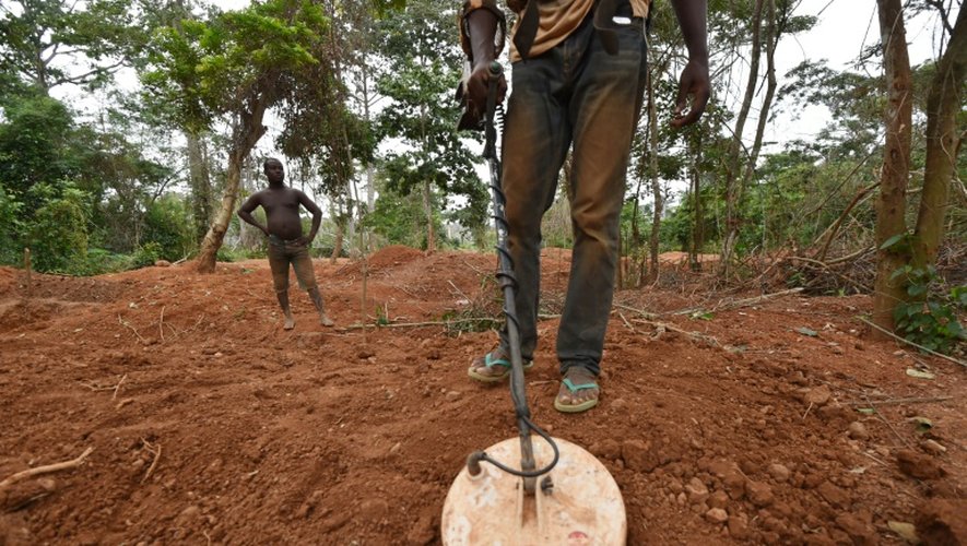 Un chercheur d'or, le 15 août 2016 dans une plantation du village de Booré, dans le centre de la Côte d'Ivoire