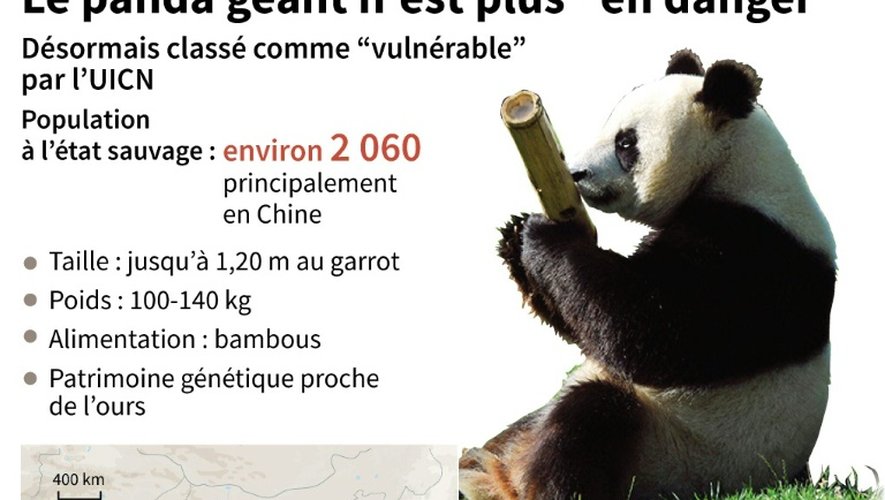 Le panda géant n'est plus "en danger"