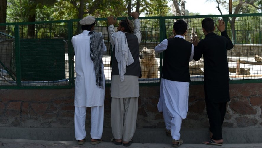 Des visiteurs devant l'enclos d'un ours au zoo de Kaboul, le 12 juillet 2016 en Afghanistan