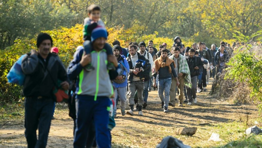Migrants et réfugiés en route pour un centre d'hébergement le 24 octobre 2015 près de Rigonce, après avoir franchi la frontière de la Croatie et de la Slovénie