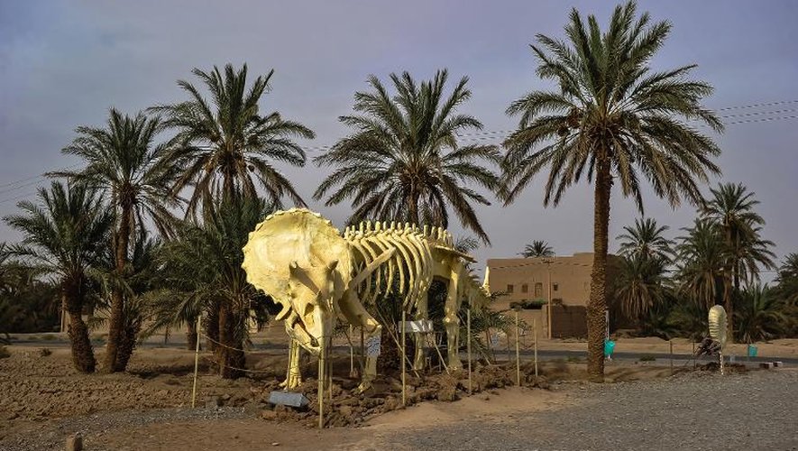 Une réplique de squelette de dinosaure exposée à Erfoud, à l'est du Maroc, le 30 septembre 2014