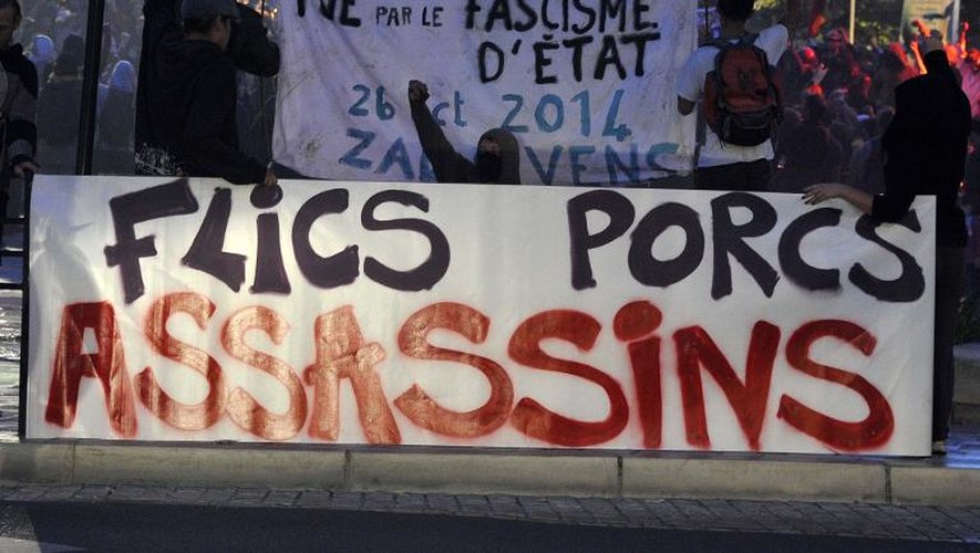 Des opposants au site de Sivens manifestent le 26 octobre 2014à Gaillac