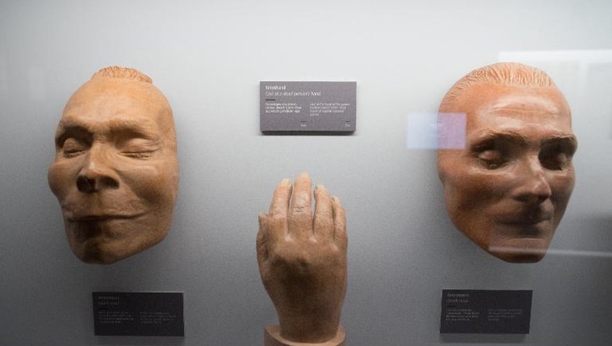 Des moulages de parties de corps exposés au musée des pompes funèbres de Vienne, le 21 octobre 2014
