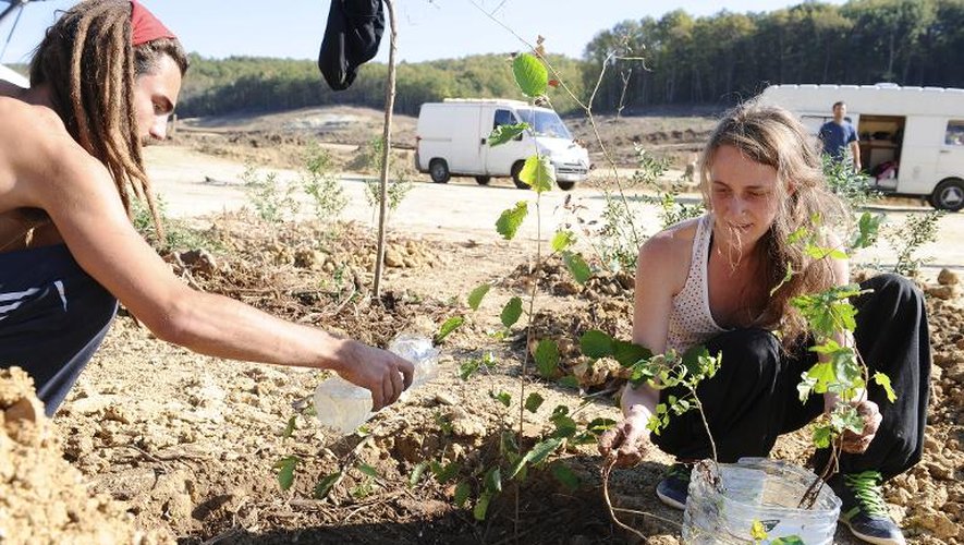 Des opposants au barrage plantent un arbre à l'endroit où Rémi Fraisse a été tué, sur le site de Sivens, le 29 octobre 2014