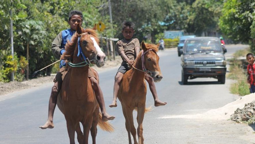 Des enfants-jockeys se dirigent vers la piste de Waingapu pour s'entraîner, le 21 septembre 2014 sur l'île indonésienne de Sumba