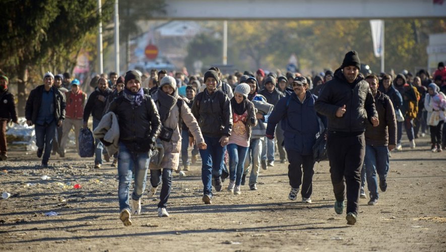 Réfugiés et migrants traversent la frontière entre la Slovenie et l'Autriche à Sentilj, le 3 novembre 2015