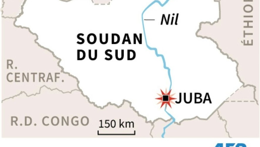 Crash d'un avion cargo au Soudan du Sud