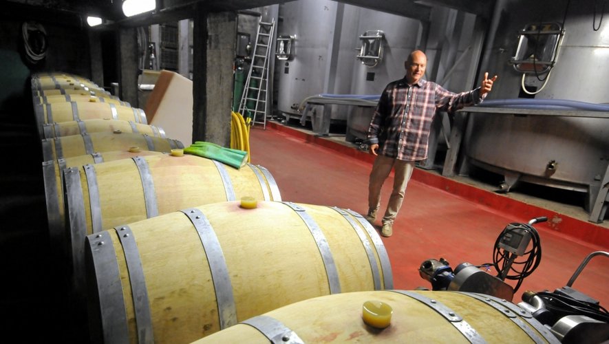 Cette année, 3000 bouteilles de vin blanc seront produites par la cave coopérative. «Une première prometteuse», selon le directeur Kasper Ibfelt.