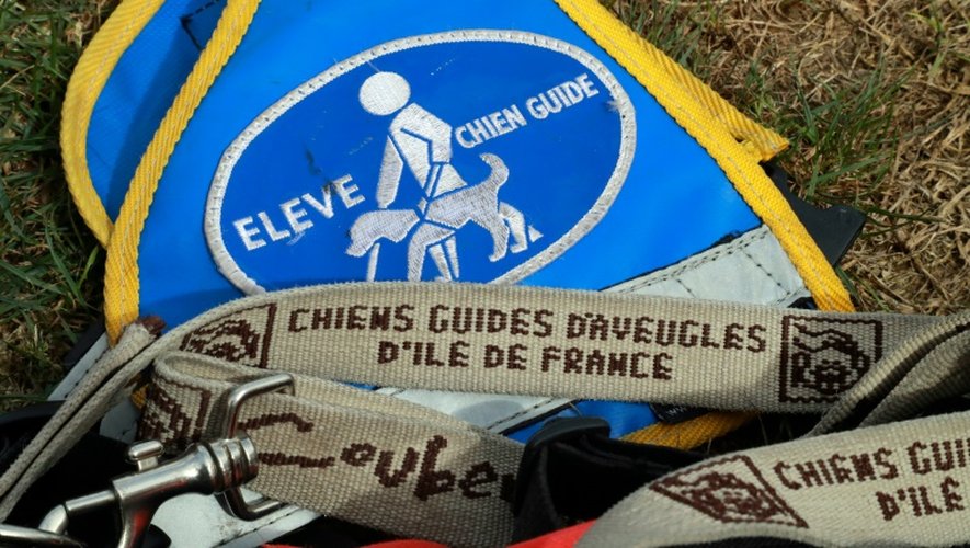Coubert, 2.000 âmes, accueille l'une des seize écoles membres de la Fédération française des associations de chiens guides d'aveugles (FFAC)