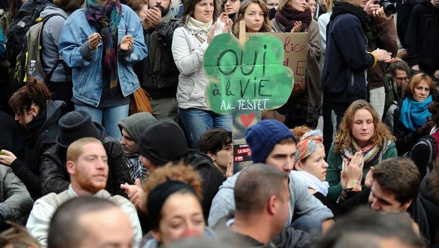 Des manifestants dénonçant les "violences policières" à Toulouse le 8 novembre 2014