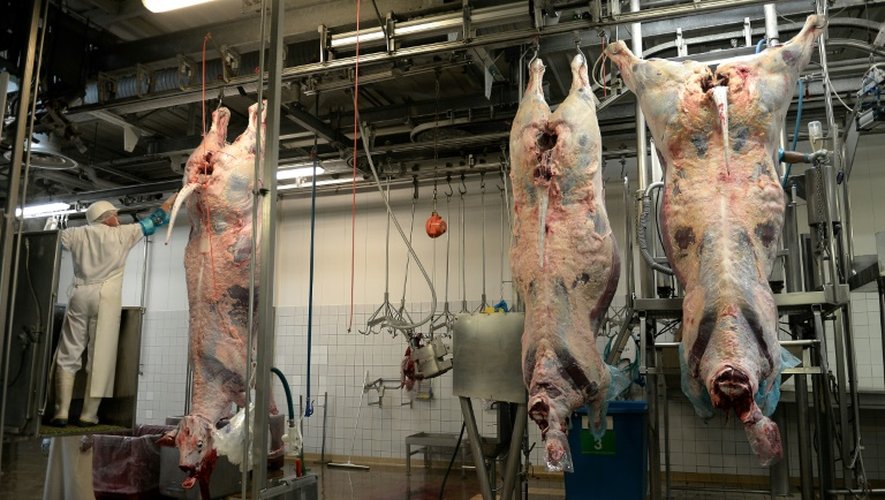 Abattoirs: L214 demande d'interdire l'égorgement d'animaux conscients 