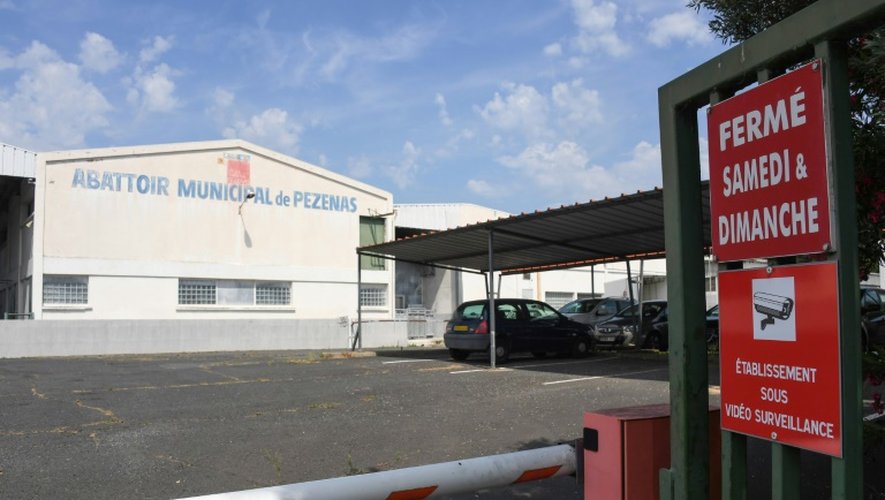 Abattoir municipal de Pezenas, le 29 juin 2016