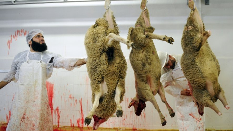 Des employés préparent des moutons avant l'Aïd al-Adha (fête du sacrifice musulmane) dans un abattoir du Mans le 4 octobre 2014