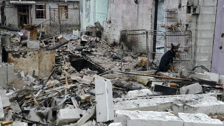 Des maisons en ruines dans la banlieue de la ville ukrainienne de Donetsk, après de nouveaux affrontements entre l'armée et des milices pro-russes, le 11 novembre 2014