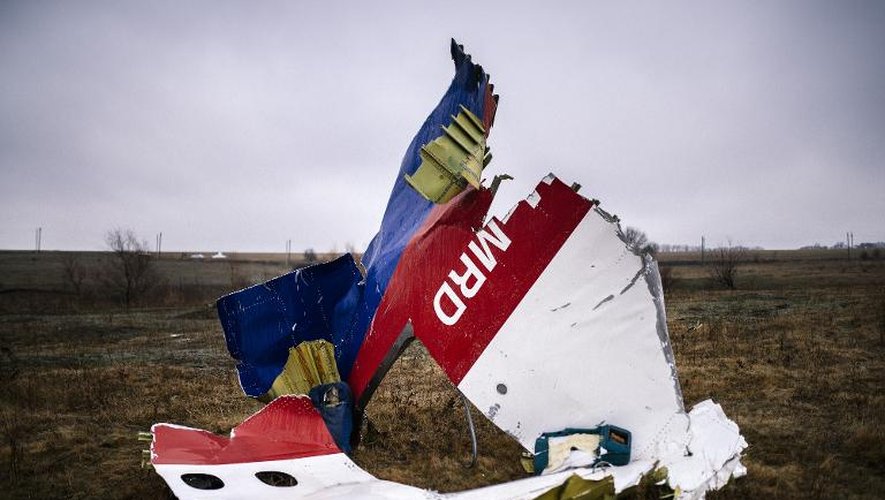Des restes du vol MH17 abattu au-dessus de l'est de l'Ukraine, photographiés le 10 novembre 2014 près du village de Grabové