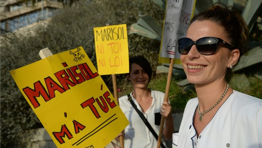 Manifestation à Toulon contre le projet de loi santé, le 13 novembre 2015