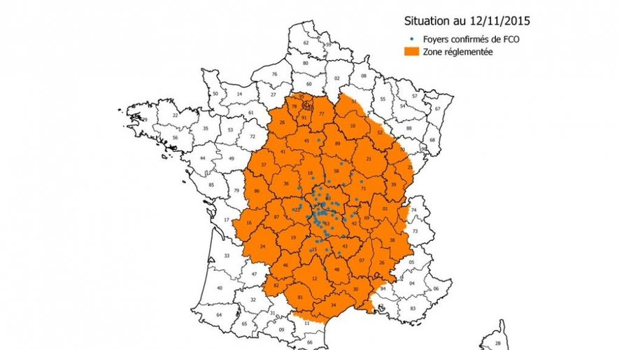 Un cas de fièvre catarrhale ovine (FCO) confirmé en Aveyron