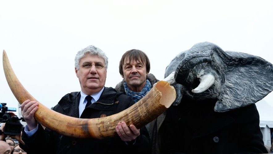 Philippe Martin, alors ministre de l'Ecologie, et Nicolas Hulot, lors d'une opération de destruction de trois tonnes d'ivoire illégal, le 6 février 2014 devant la Tour Eiffel