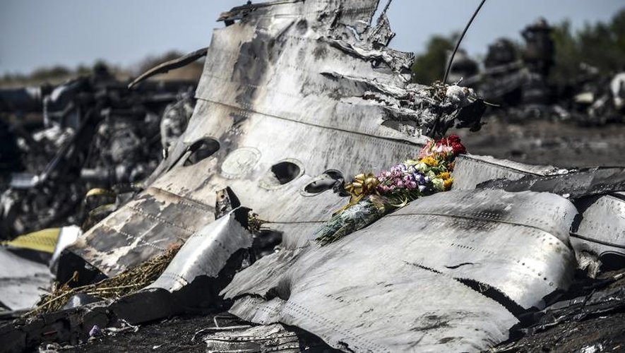 Des fleurs déposées sur les débris du Boeing malaisien, le 26 juillet 2014 près du village de Grabové, dans l'est de l'Ukraine