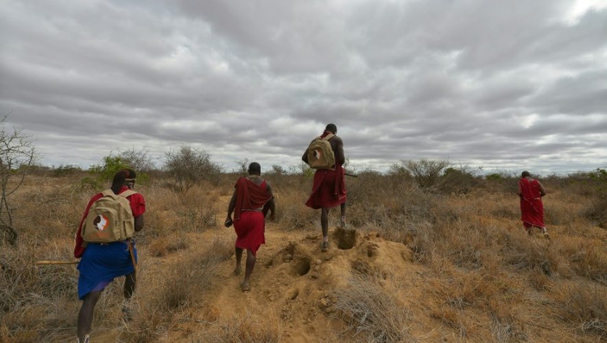 Des guerriers masaï à la recherche de lions dans la réserve de Selenkay, au Kenya, le 11 septembre 2016