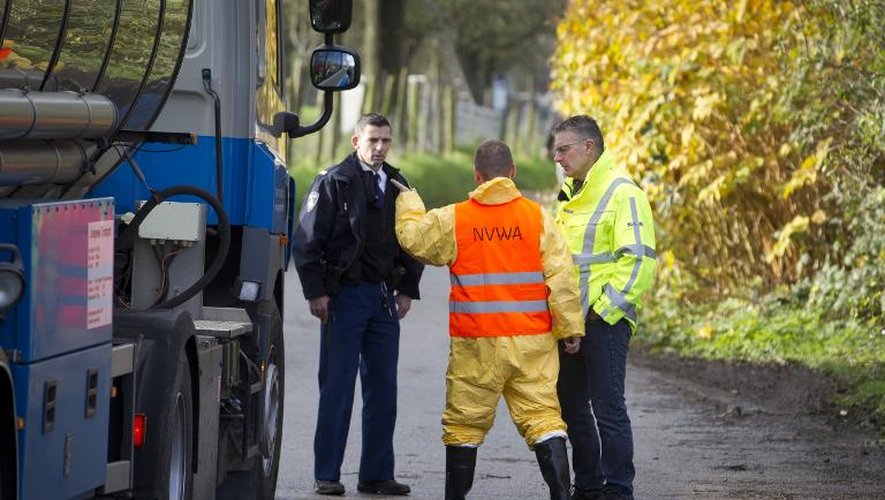 Contrôle d'un camion provenant d'une ferme de vollailes où a été découvert une souche de grippe aviaire à Hekendrop, aux Pays-Bas, le 17 novembre 2014