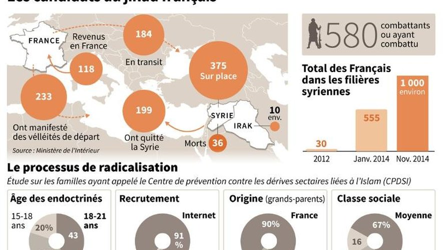 Nombre de jihadistes français impliqués dans les filières syriennes et données sur le processus de radicalisation