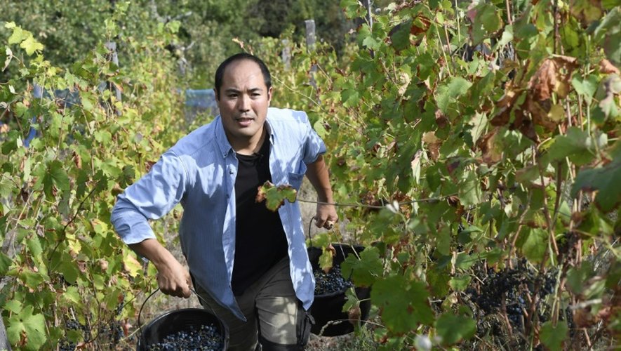 Hirotake Ooka, 42 ans, dans sa vigne de Saint-Péray, en Ardèche, le 26 septembre 2016