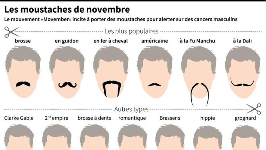 Nom Des Moustaches 5 Choses Savoir Sur Les Moustaches Du Chien ZRYT