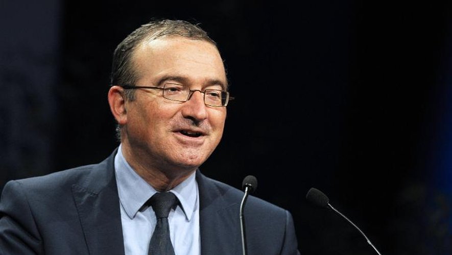 Le candidat à la présidence de l'UMP Hervé Mariton lors d'un meeting à Paris le 15 novembre 2014