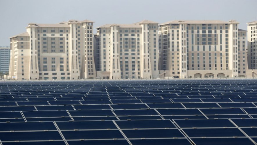Une ferme utilisant l'énergie solaire dans les environs de Masdar à Abou Dhabi le 7 octobre 2015